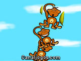 Monkeys