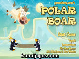 Polar Boar