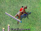 Show Jumping