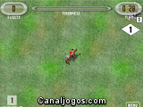 Show Jumping
