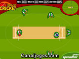 Table Top Cricket