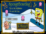 Sponge Boarding