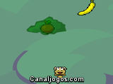 Macacos e Frutas