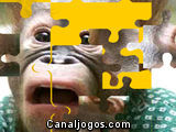 Puzzle do Macaco