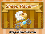 Sheep Race
