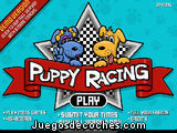 Puppy Racing