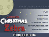 James the Christmas Zebra