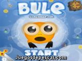 Bule