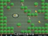 Warp Forest