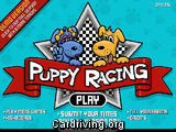 Puppy Racing
