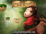 Mono en la selva