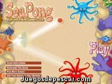 Ping Pong Marino