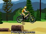 Stunt Dirt Bike