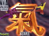 Ninja Air Combat