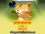 Un gato en Apuros