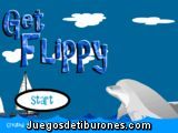 A la caza del delfín