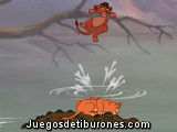 Crocodile Adventure