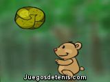 Teddy Ball