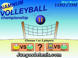 El partido de voleibol