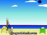 El partido de voleibol