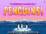 Pingüinos Saltadores