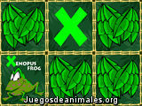 Alpha-Zoo