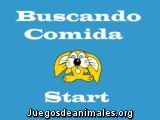 Buscando Comida