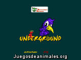 Underground