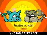 Pelea de perros y gatos