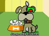 Pelea de perros y gatos