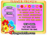 Flower Frenzy