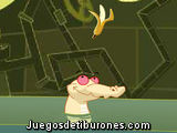 Cocodrilo en la alcantarilla