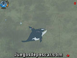 La libertad de la Orca