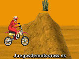 Motocross Champions