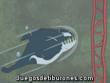 Killer Whale
