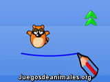 Salva al mapache