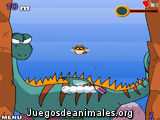 Salva al mapache