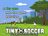Tiny Soccer