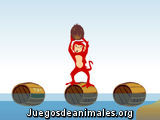 El mono y los cocos