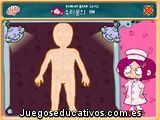 Anatomía