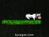 Vaca Suicida