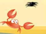 Crab Wars