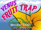 Venus Fruit Trap
