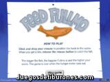 Feed Fullmo