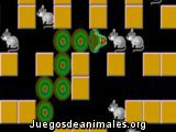 Serpiente Cazadora