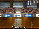 Voleibol
