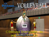 Volleyball