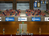Volleyball