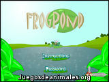 Frog Pond