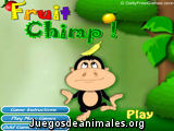 Fruit Chimp